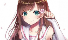 小姐姐动漫,梦幻世界中的青春旋律